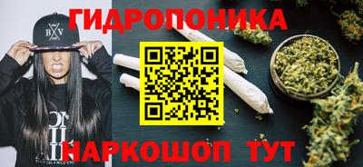 гидропоника Новодвинск