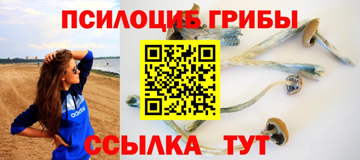 Сокол  Галлюциногенные грибы ЛСД  как найти закладки  Вход с VPN  Галлюциногенные грибы GOLDEN TEACHER 