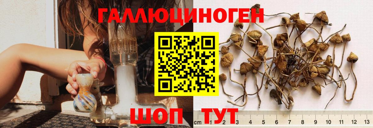 Псилоцибиновые грибы Magic Shrooms Сокол